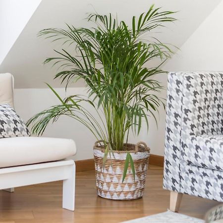 Apartamento Boutique Con Terraza Y Vistas Al Mar. Porto Vilanova Villanueva De Arosa Eksteriør bilde